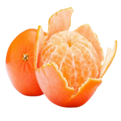 Orange (संतरा)             500gm