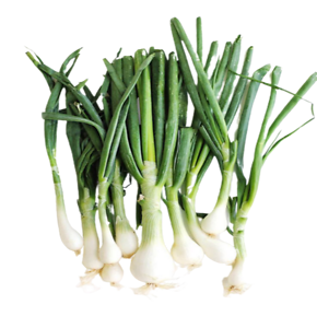 Spring Onion         (प्याज पत्ता)  250gm