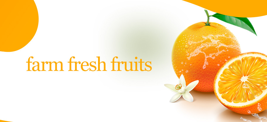 VegFru: Online Grocery Store promo