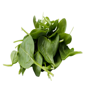 Spinach (पालक पत्ता)                                    1KG